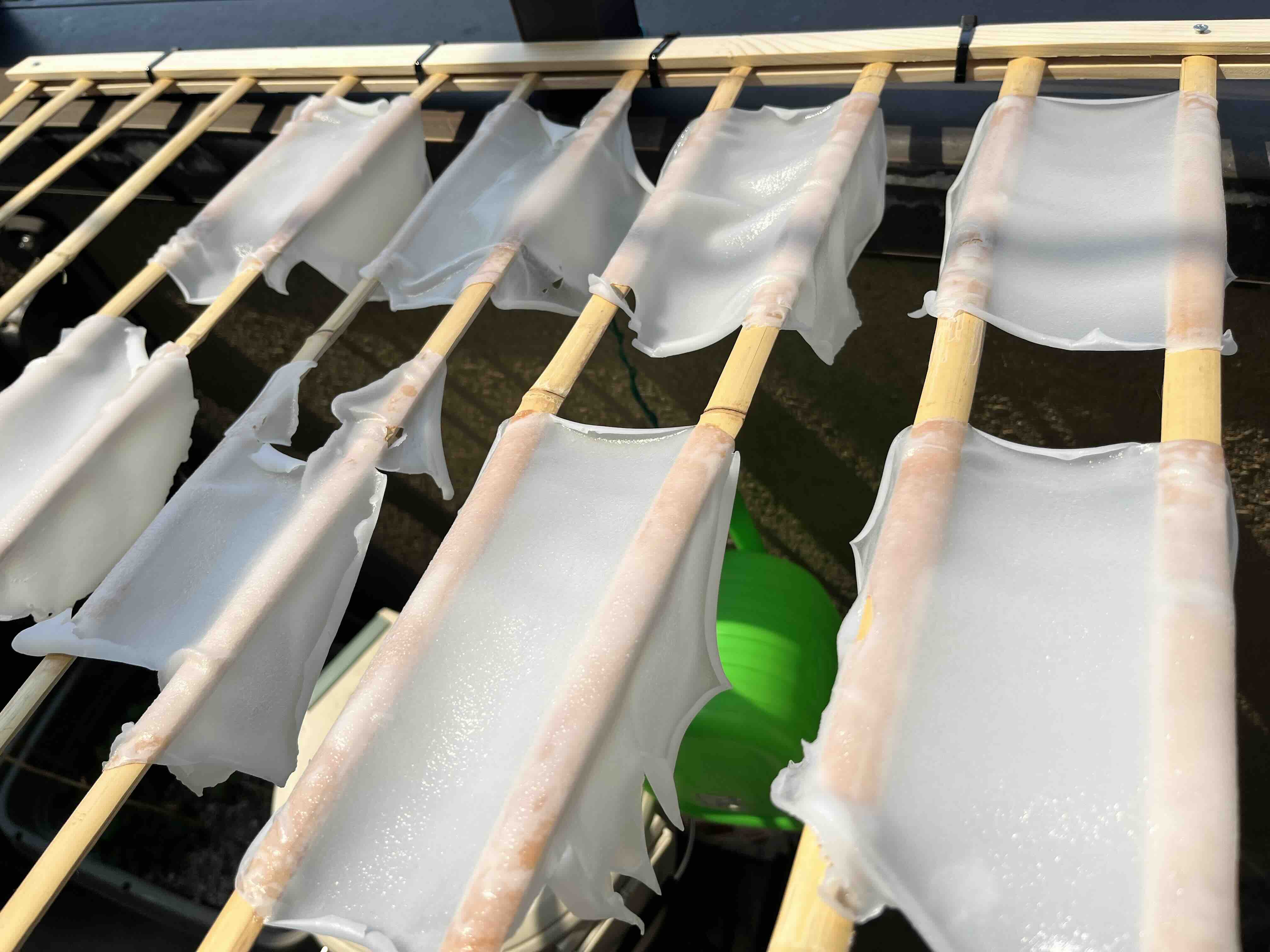 Drying noodle sheets indoors